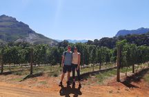 Private Wine Tour of Stellenbosch, Franschhoek and Paarl 