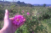 Weekend in Bulgaria