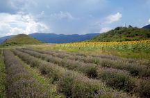 Weekend in Bulgaria