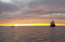 Small-group Whale Watching in the Midnight Sun from Reykjavík