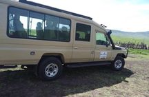 2 Days - Mikumi safari depart from Zanzibar or Dar es salaam