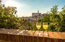 Private Tour to Czech Wine Regions - Lednice and Valtice