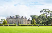Highlights of Killarney Private Tour