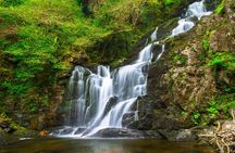 Highlights of Killarney Private Tour