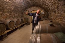 From Belgrade: Novi Sad and Sremski Karlovci Tour