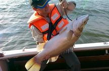 1 day Fishing and Chimpanzee Island tour