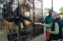 1 day Fishing and Chimpanzee Island tour