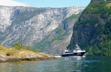 Guided Fjord & Glacier Tour - From BERGEN