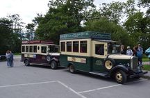 Bus & Boat Tour