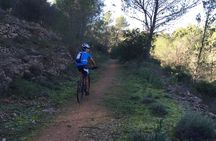 Guided mountain bike route - "Pata Negra" Tour