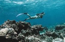 All Inclusive Snorkeling at Blue Lagoon with Lunch 