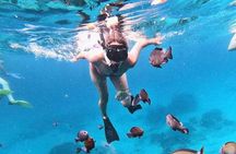 All Inclusive Snorkeling at Blue Lagoon with Lunch 