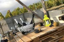 Champagne Lamiable: Stroll and taste in the Grand Cru Champagne vineyard