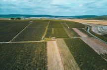 Champagne Lamiable: Stroll and taste in the Grand Cru Champagne vineyard