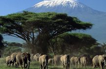 3 Days Amboseli Safari