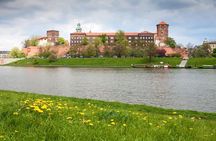Krakow: Wawel Castle & Cathedral and Wieliczka Salt Mine Guided Tour with Lunch