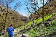 Summiting The Atlas Mountains, Day Hike & Trek From Marrakech