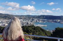 Private Wellington Full Day Sightseeing Tour