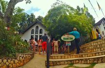 Dunns River Falls & Bob Marley