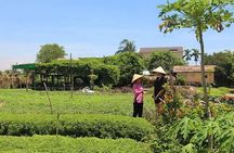 Farming with the Local Famers