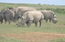 4-Day Adventure to Lake Nakuru & Maasai Mara