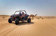 Polaris RZR 1000cc 2seater Desert Adventure Guided Tour