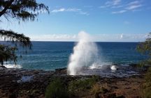 Kauai Island - Private Tour : Waimea Canyon and Southside
