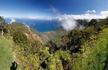 Kauai Island - Private Tour : Waimea Canyon and Southside