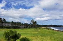 Kauai Island - Private Tour : Waimea Canyon and Southside