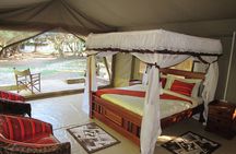 5 Days Lake Nakuru-Lake Naivasha & Maasai Mara Safari