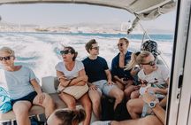 Blue Lagoon & Wine tasting - 3 islands tour