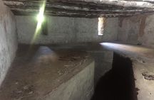 Stone Town, Spice Farm and Jozani Forest Private Tour