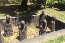 Stone Town, Spice Farm and Jozani Forest Private Tour