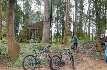 Angkor Temple Bike Tour from Siem Reap Inclusive of Lunch