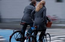  3 Hours Private Bike Tour in Copenhagen 