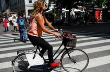  3 Hours Private Bike Tour in Copenhagen 