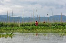 Inle Lake Full-Day Tour with Boat Trip and Lunch