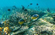 All Inclusive Snorkeling at Blue Lagoon with Lunch 