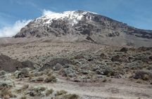 5 Days Marangu Hiking Walking Tour to Kilimanjaro Summit