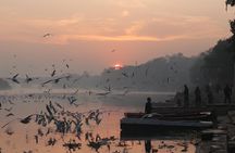 Delhi By Dawn:Secret morning Delhi Tour + Breakfast all inclusive