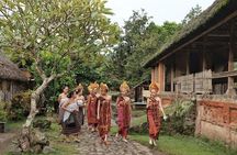 Full-Day Customized Amazing Private Tours in Bali
