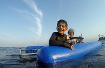 Caged and Cageless Shark Snorkelling on Durban's Aliwal Shoal
