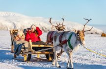 Rovaniemi Reindeer Farm visit and Safari