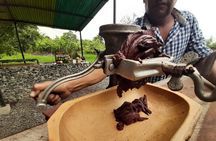 Full day to Ecological Reserve Churute Mangrove and Cocoa Farm Visit