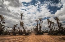 2 hours quad ride in palmeraie marrakech