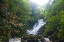 Killarney Highlight Half Day Tour -National Park-Muckross House 