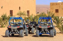 2 hour palmeraie buggy ride
