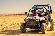2 hour palmeraie buggy ride