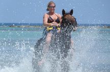 Ocho Rios Shore Excursion: Blue Hole, Tubing, Horseback Riding 