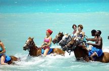 Ocho Rios Shore Excursion: Blue Hole, Tubing, Horseback Riding 